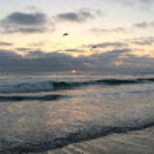 Meet your Posher, Cassi